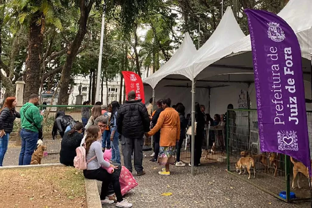 evento de adoção