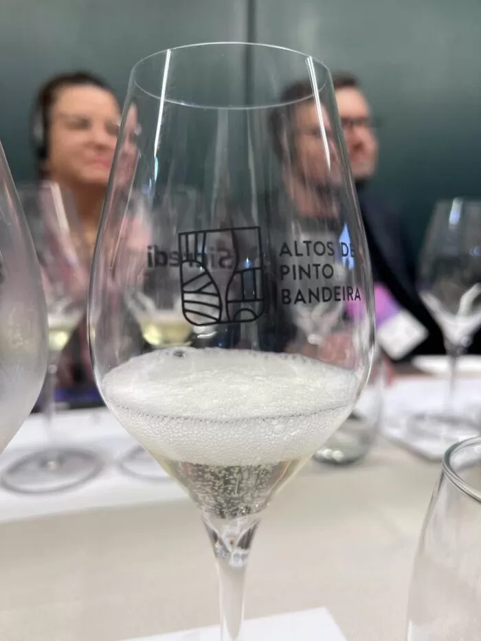 Wine South America: a feira internacional de vinhos bate recorde de negócios 22 Imagem do WhatsApp de 2023 09 20 as 10.42.36