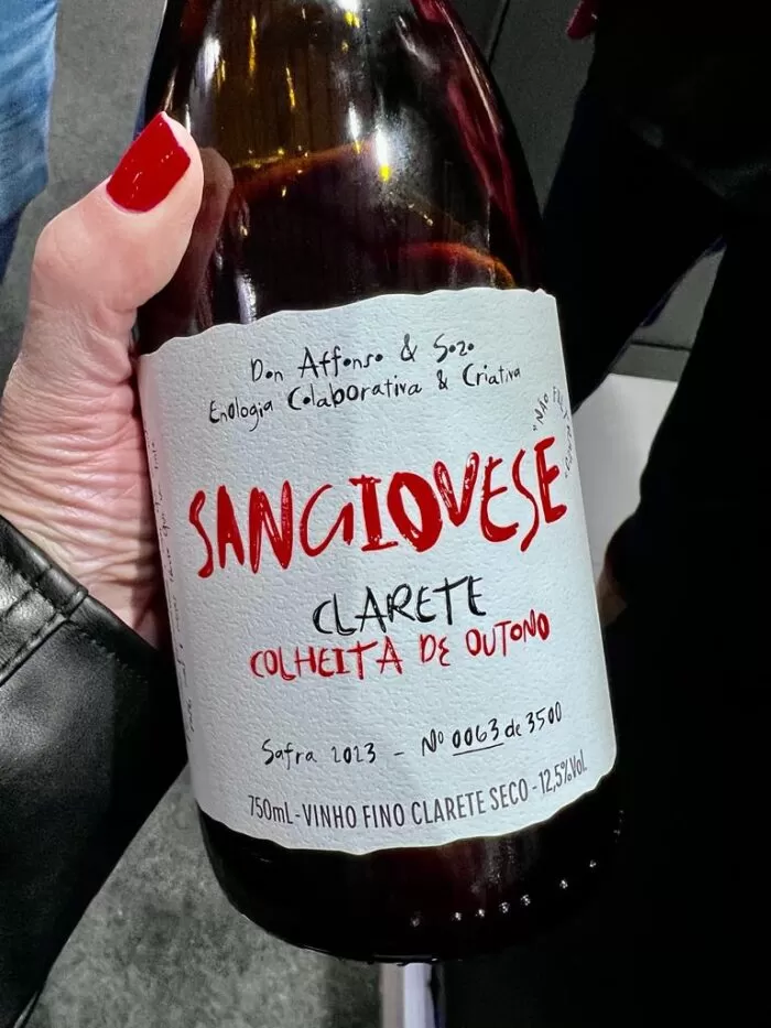 Wine South America: a feira internacional de vinhos bate recorde de negócios 33 Imagem do WhatsApp de 2023 09 20 as 10.44.24 4