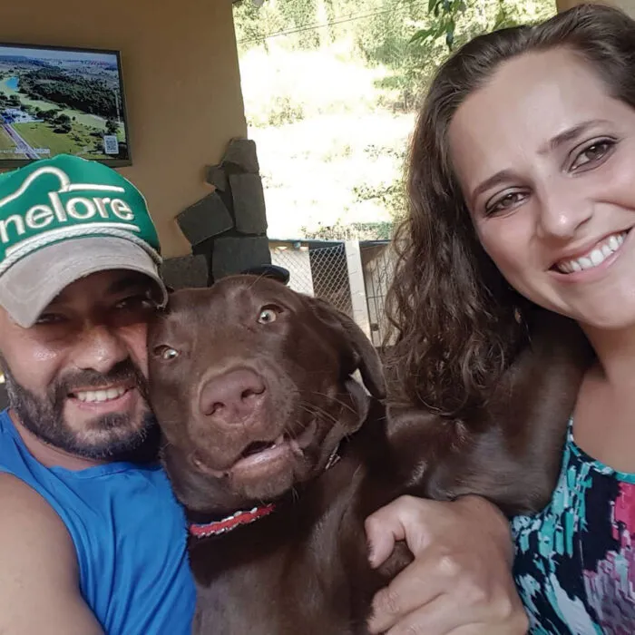 Mercado voltado para pets incorpora serviços funerários 3 serviços funerários pet