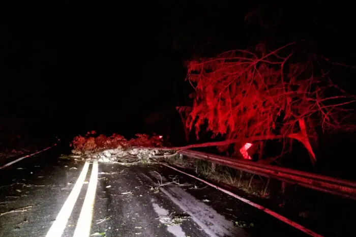 Temporal causa quedas de árvores e interdições em Barbacena 1 queda arvore barbacena by bombeiros