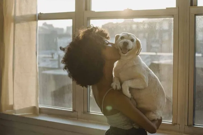 Confira 10 dicas para melhorar a saúde mental do seu cachorro 1 SAUDE MENTAL PET Pexels