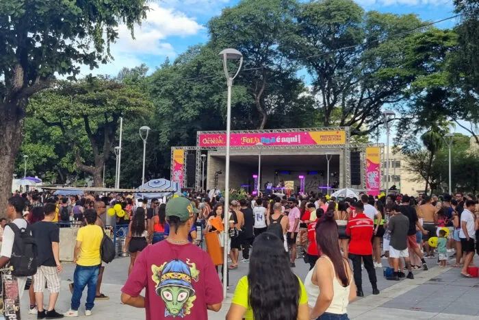 Confira os blocos deste fim de semana em JF 1 bloco