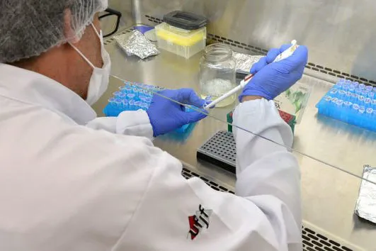 Laboratórios da UFJF realizam testes de dengue para cidades mineiras 1 dengue ufjf
