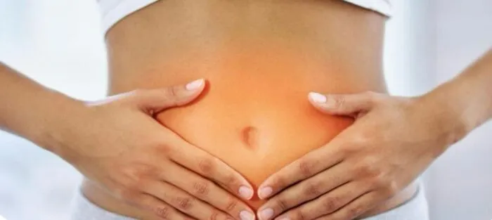 Microbiota intestinal: veja como a saúde do intestino pode afetar o corpo todo 1 WhatsApp Image 2024 05 13 at 12.49.49
