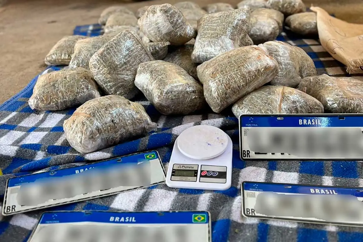 Mais de 40 quilos de maconha avaliados em R$ 240 mil são apreendidos em Juiz de Fora 1 Mais de 40 quilos de maconha in natura são apreendidos no Linhares