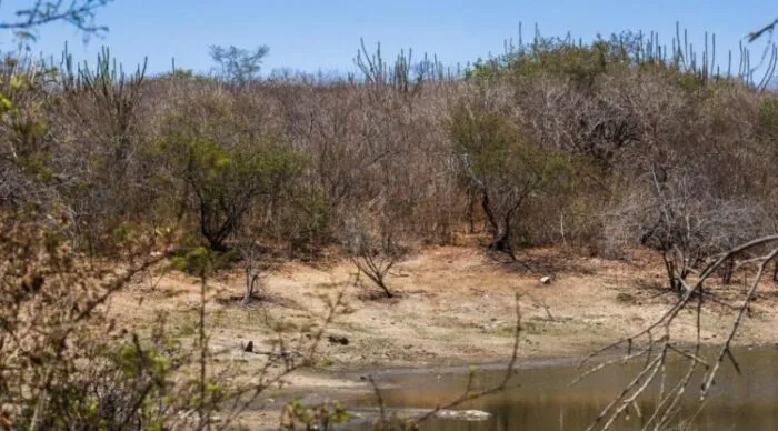 Seca deixa municipios em emergencia no Leste