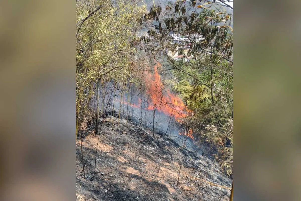 Fogo atinge o bairro Centenário