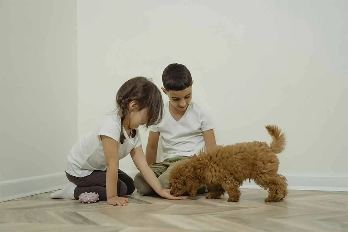 cachorros e criancas Especial PET
