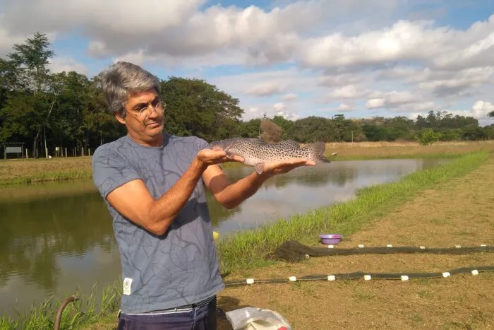 Conheça o piabanha, peixe de água doce que nomeia projeto ambiental nascido no Noroeste Fluminense 1 biosfera 3 Guilherme Souza