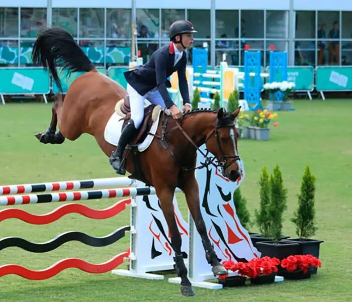 Hipismo Olímpico e outras atuações de cavalos nos esportes; com insights de Gonçalo Torrealba 2 imagem 2 credito wikimedia editada