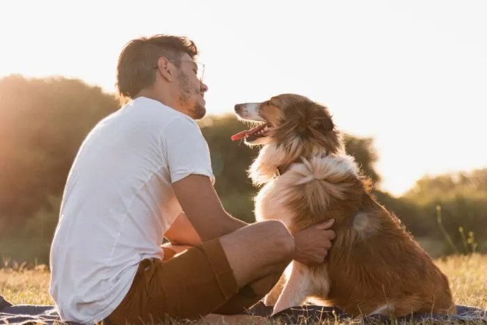 Os pets e os benefícios à saúde do tutor 1 site 3