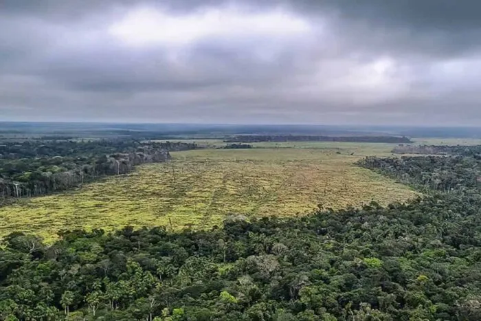 Desmatamento na Amazônia Legal cresce 18% a poucos meses da COP30, diz estudo 1 desmatamento amazonia legal foto policia federal divulgacao