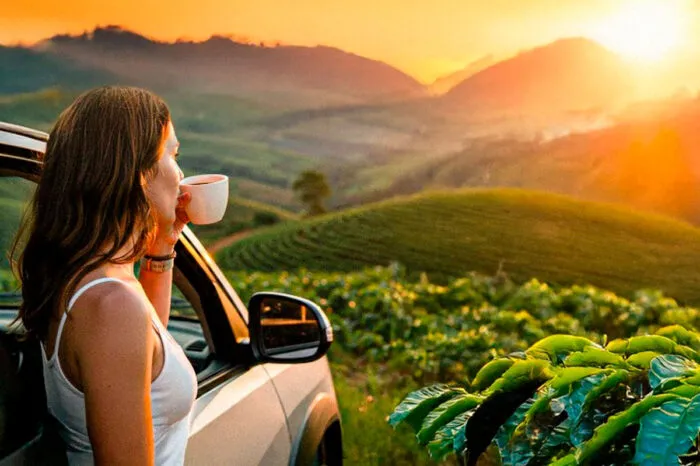 Circuito Nacional do Café com rota turística em Minas Gerais e São Paulo passa por 51 cidades 1 circuito nacional do café