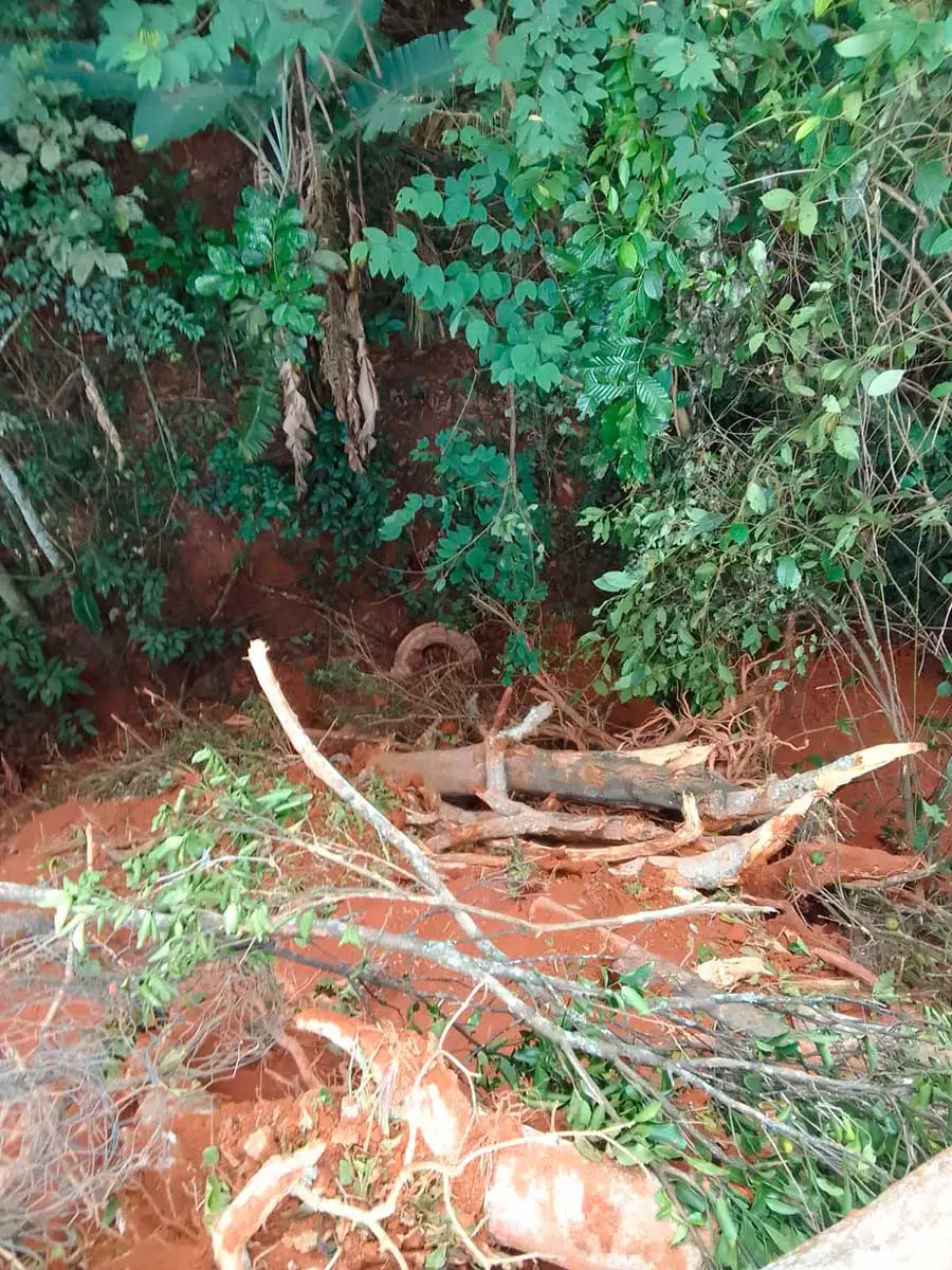crime-ambiental-polícia
