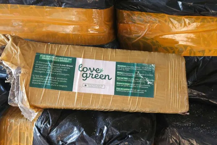 Apreensao drogas maconha 3 Pedro Moyses