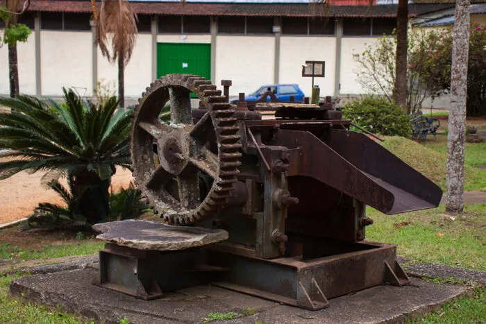 Do café à cachaça: negócio familiar se reinventa há 40 anos 12 Do café à cachaça: negócio familiar se reinventa há 40 anos