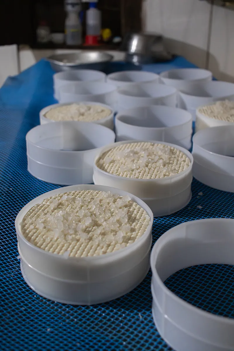 Queijos-Canastra-QUEIJOS-DA-NERIA---Pedro-Moyses Queijos-Canastra-QUEIJOS-DA-NERIA---Pedro-Moyses