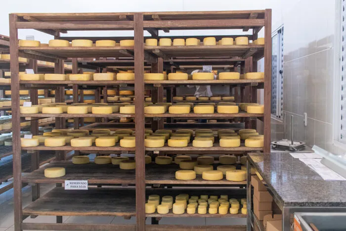 O queijo que desafia o tempo: o sabor da Canastra 7 O queijo que desafia o tempo: o sabor da Canastra