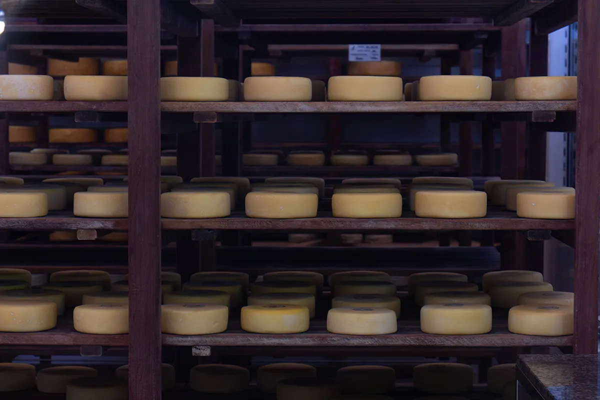 Queijos-Canastra-ROCA-DA-CIDADE---Pedro-Moyses-3 Queijos-Canastra-ROCA-DA-CIDADE---Pedro-Moyses-3