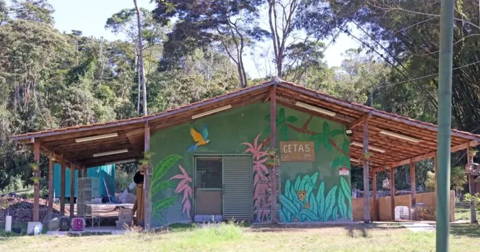 WhatsApp Image 2025 11 10 at 17.18.37