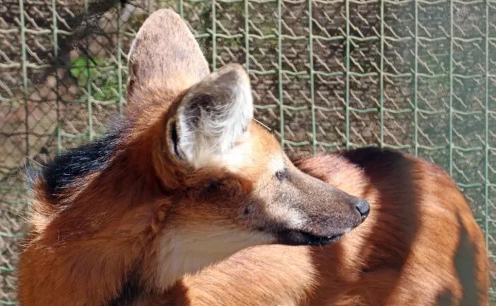 WhatsApp Image 2025 11 10 at 17.19.39 1