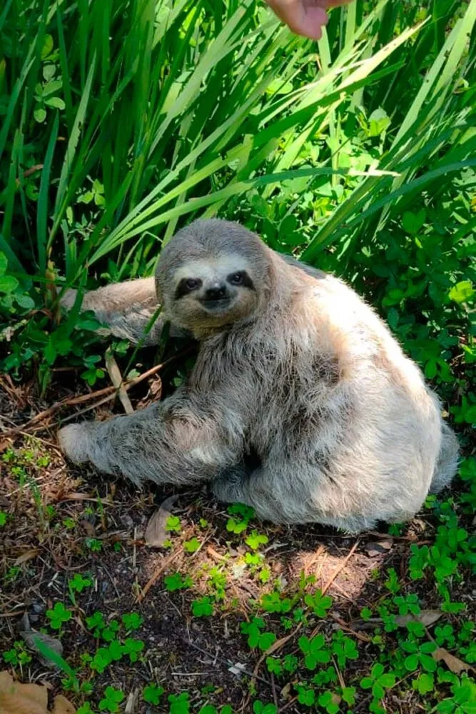 WhatsApp Image 2025 11 25 at 17.34