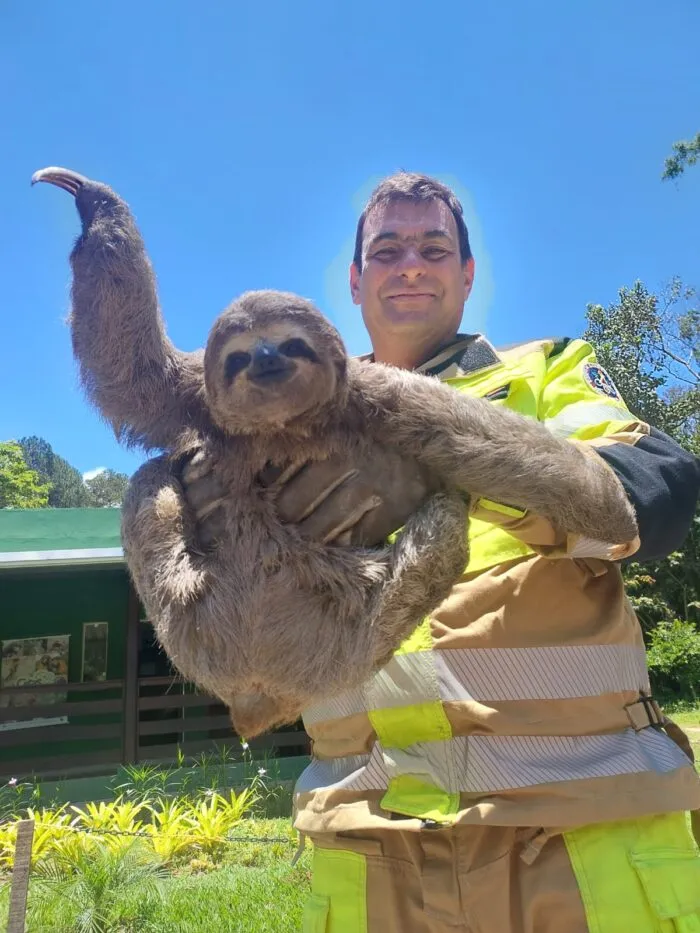 WhatsApp Image 2025 11 25 at 17.34.06