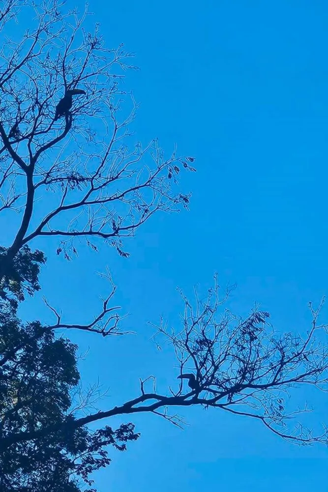 Entre cânions e história, turismo de Capitólio se transforma após tragédia 2 Entre cânions e história, turismo de Capitólio se transforma após tragédia