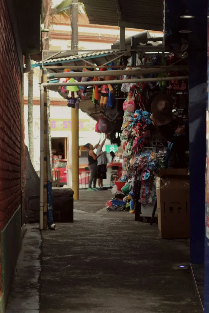 livro barbacena 2 divulgacao