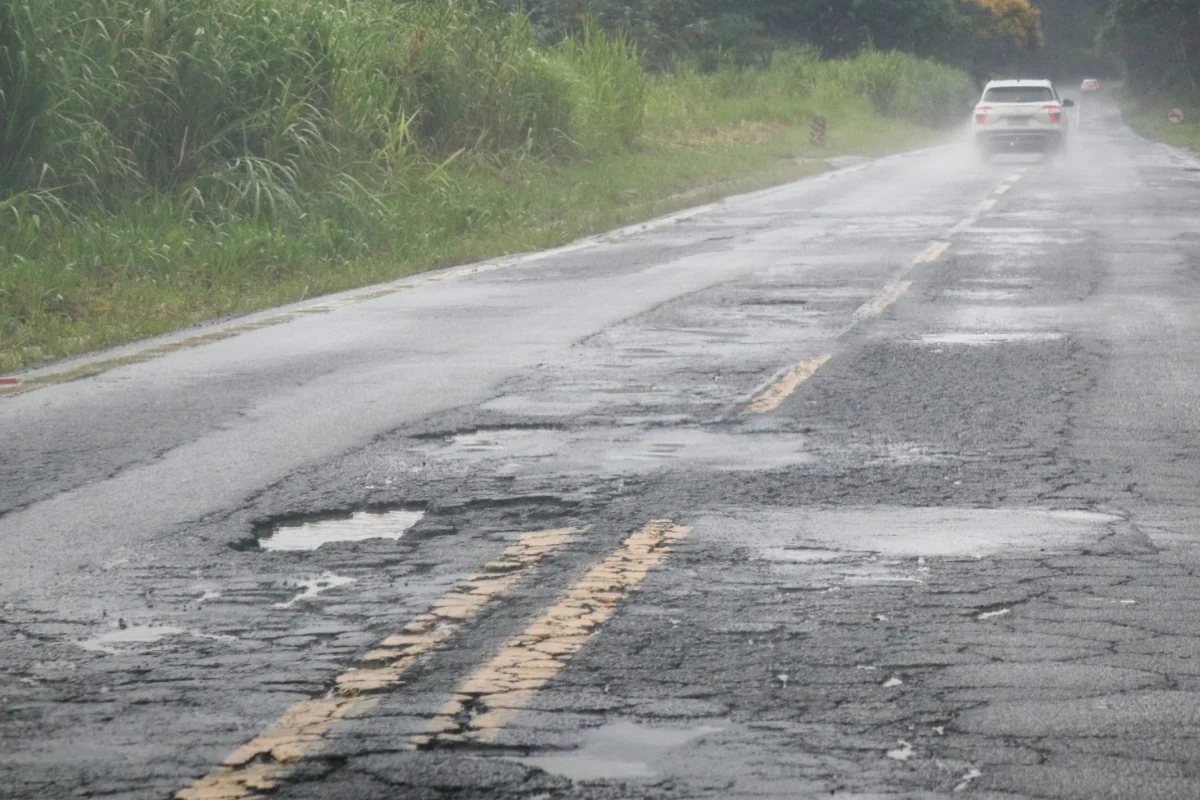 267 - argirita - 2 - felipe couri