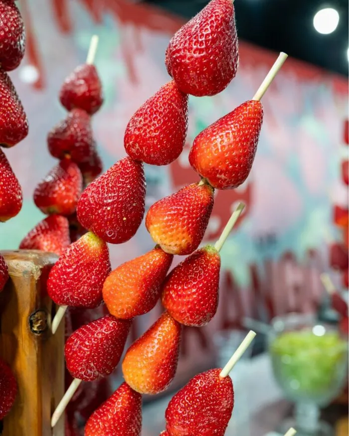 WhatsApp Image 2026-01-26 at 15.03.51