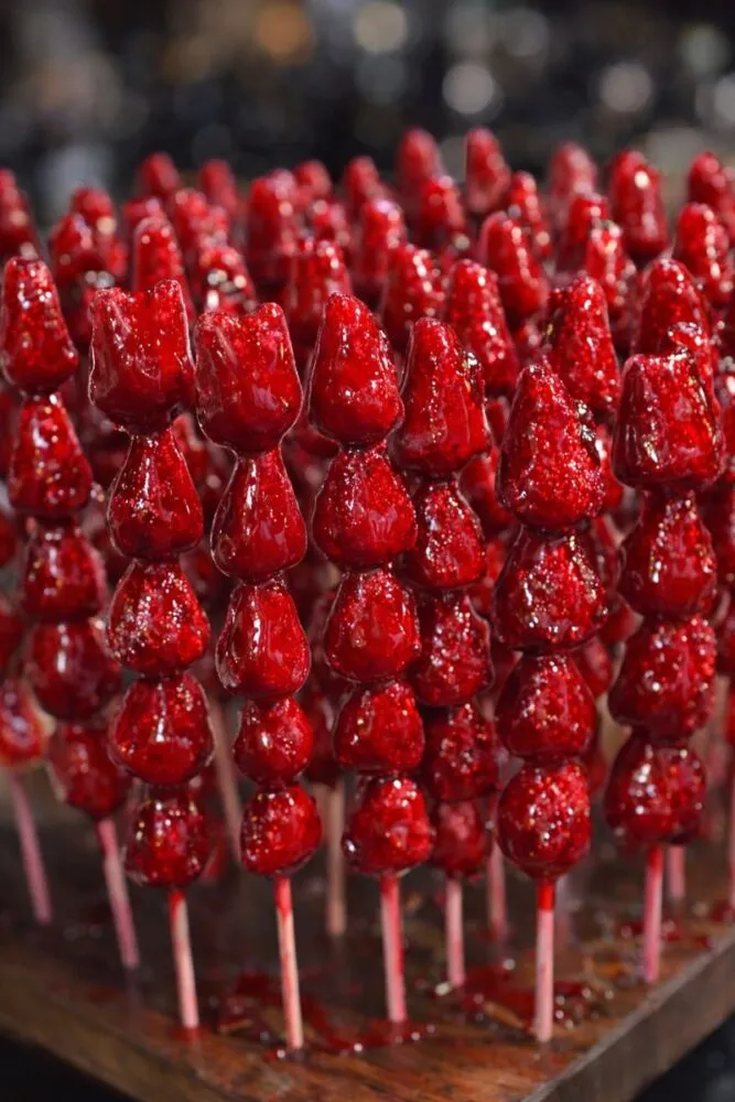 WhatsApp Image 2026-01-26 at 15.03.53