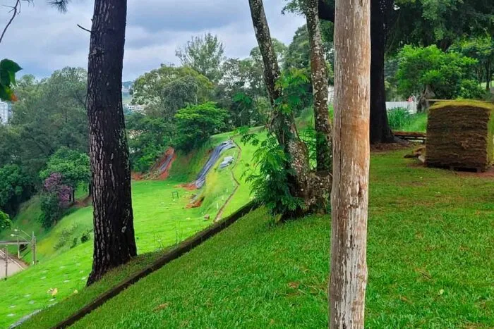 Cemiterio Parque da Saudade Nayara Zanetti