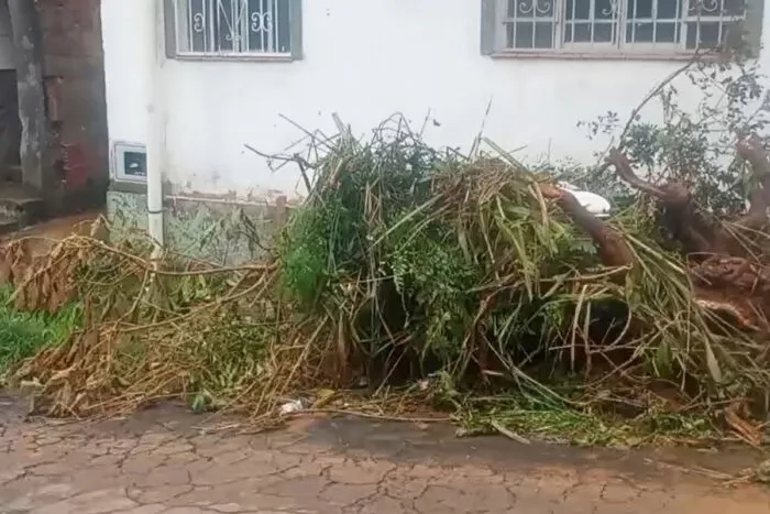 Artistas de Juiz de Fora sofrem perdas e enfrentam dificuldades para se reestruturar 4 chuvas artistas juiz de fora