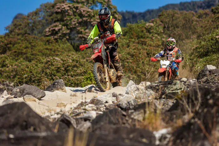 IOR. Alberto Barbosa IOR 2025