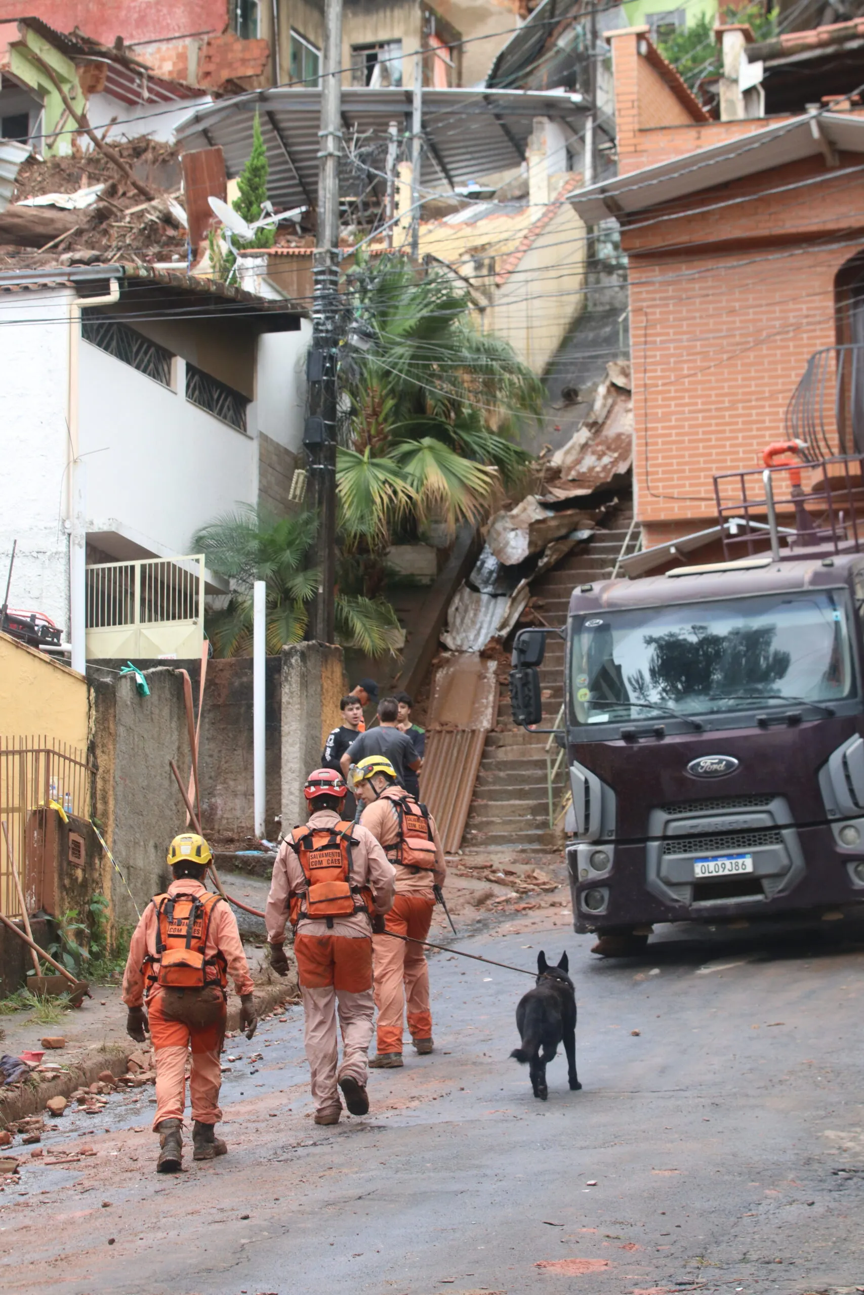 PAINEIRAS - FELIPE COURI 1.jpg