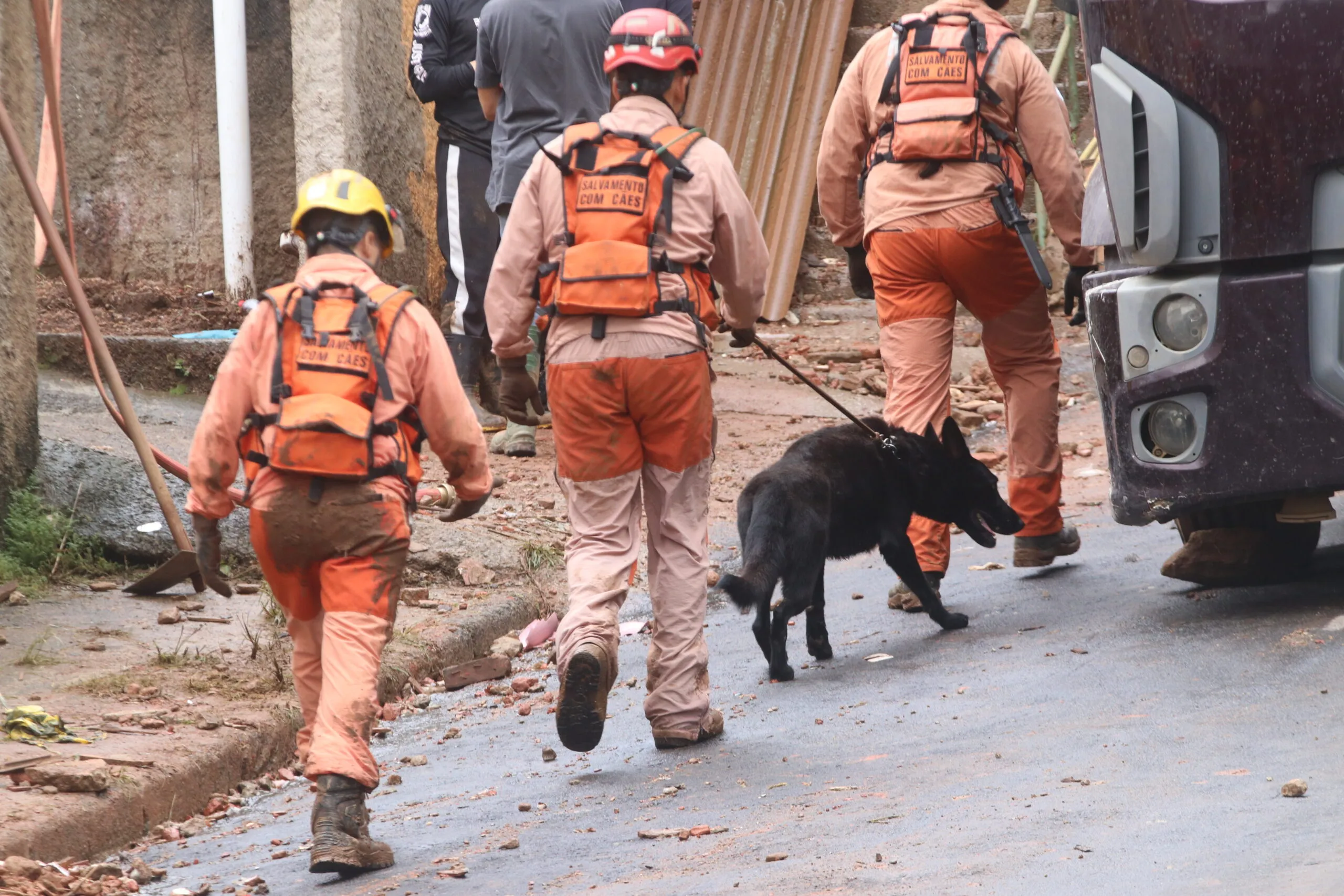 PAINEIRAS - FELIPE COURI 2.jpg