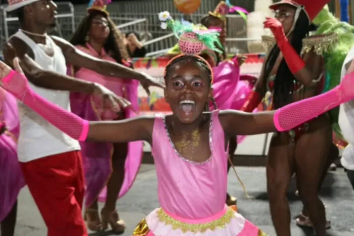 escolas de samba enredos