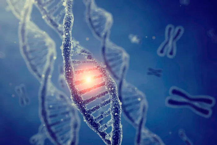 SÍNDROME-DE-LI-FRAUMENI