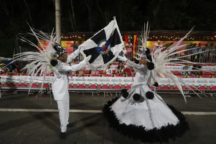 escolas de samba enredo