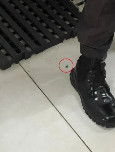 WhatsApp Image 2026-02-23 at 16.15.23 (1)