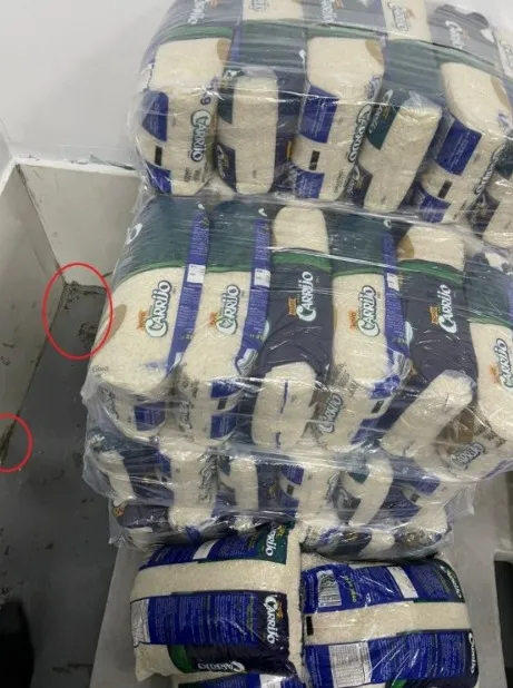 WhatsApp Image 2026-02-23 at 16.16.42