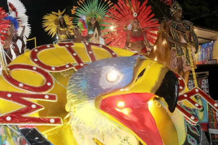 Mocidade Alegre fecha primeiro dia celebrando os 60 anos do carnaval juiz-forano