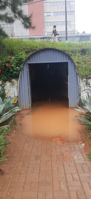 WhatsApp Image 2026 03 20 at 13.40.57 e1774026508309