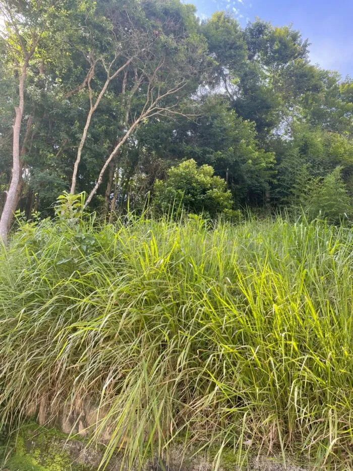 WhatsApp Image 2026-03-23 at 12.29.40 (1)