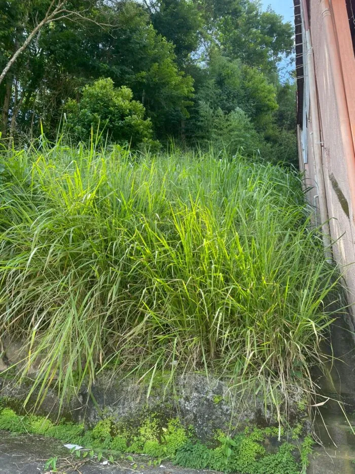 WhatsApp Image 2026-03-23 at 12.29.41