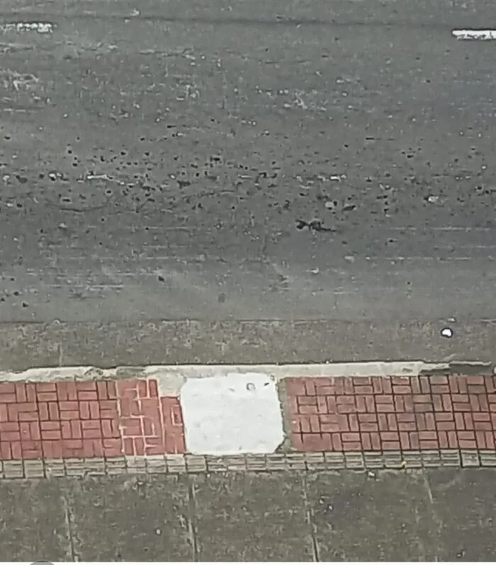 Árvore é retirada para instalação de radar na Rua Santo Antônio 1 WhatsApp Image 2026 04 14 at 09.16.27 1