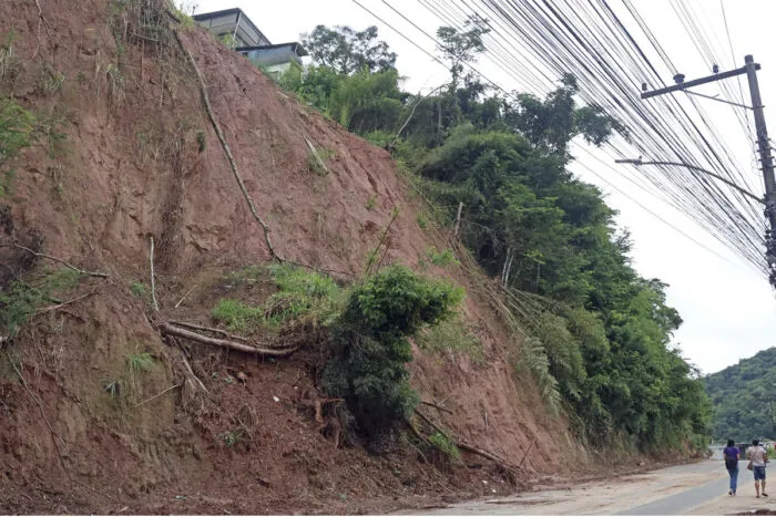 reconstrucao curva da miseia leonardo costa