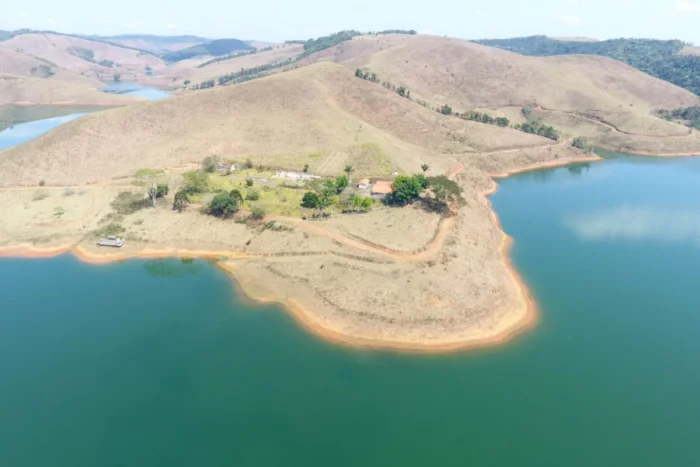 Minas Gerais é o segundo estado que mais desmata Mata Atlântica; JF perde nascentes 1 Projeto BEF Atlantic já restaurou quase 40 hectares de Mata Atlântica às margens do reservatório de Chapéu D'Uvas, em Juiz de Fora (Foto: Divulgação)